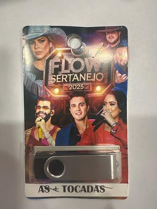 PENDRIV 600-1000 MUSICAS